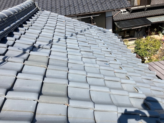 屋根全体の様子